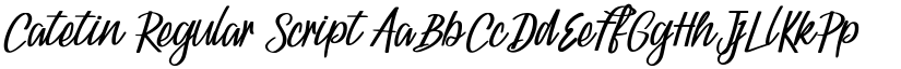 Catetin font download