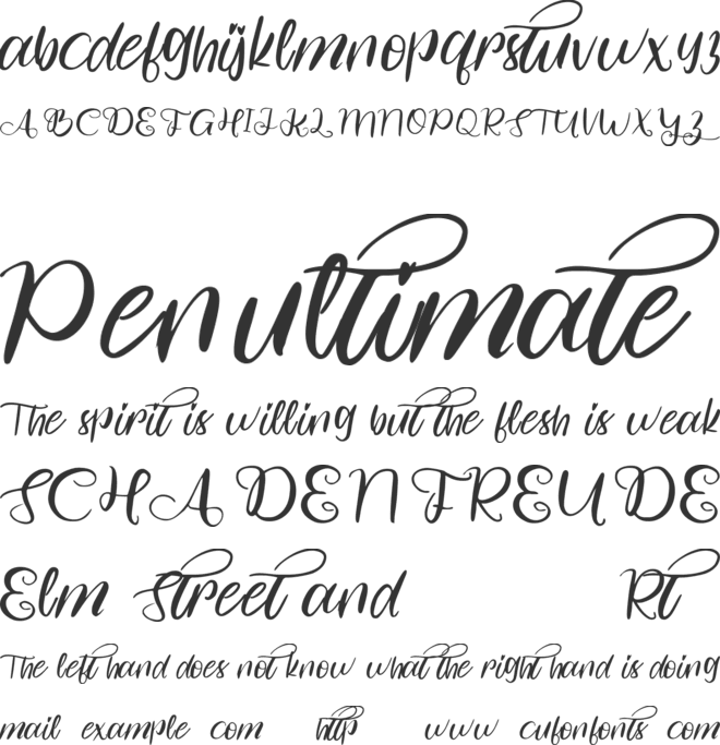 Wish You font preview