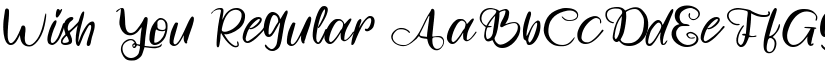 Wish You font download
