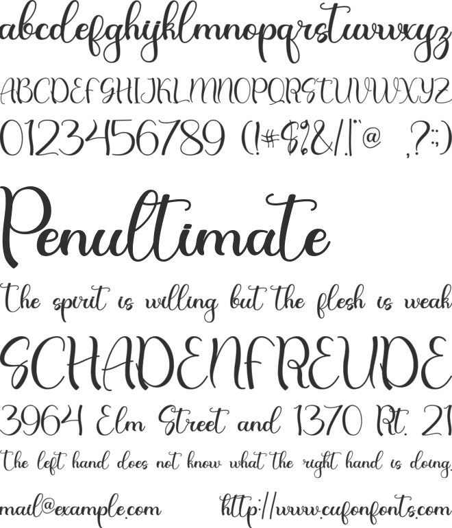 Christmas Night-Personal Use font preview