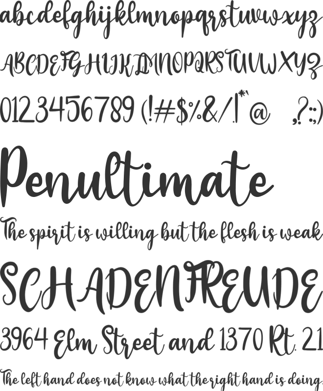 adela font preview