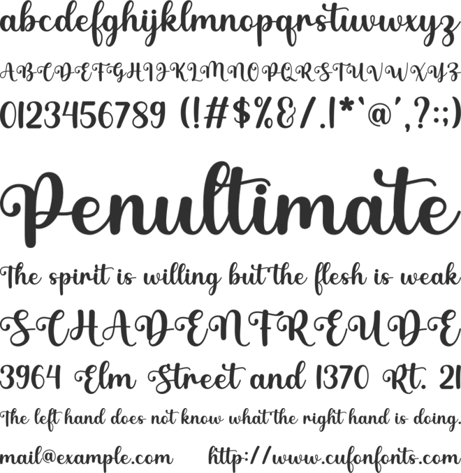 Nadine font preview