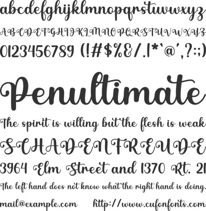 Nadine font preview