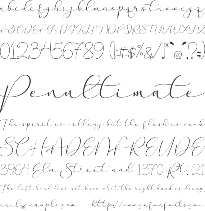 Aaqheella font preview