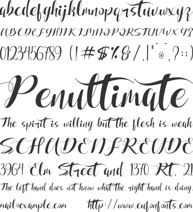 Fellissia font preview