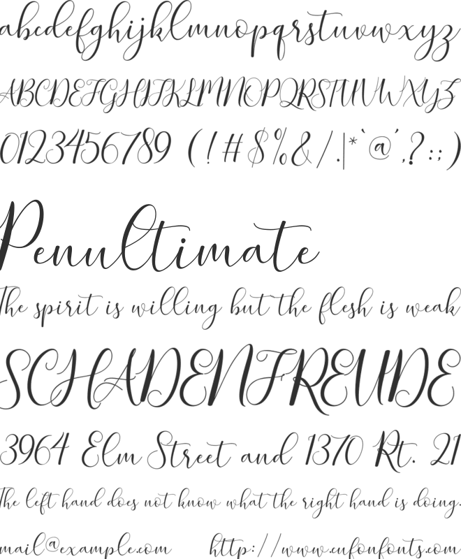 Zellora Script font preview