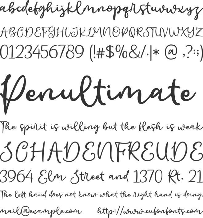 Asian Cuisine font preview
