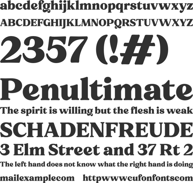 Free - Notulen Serif Display font preview