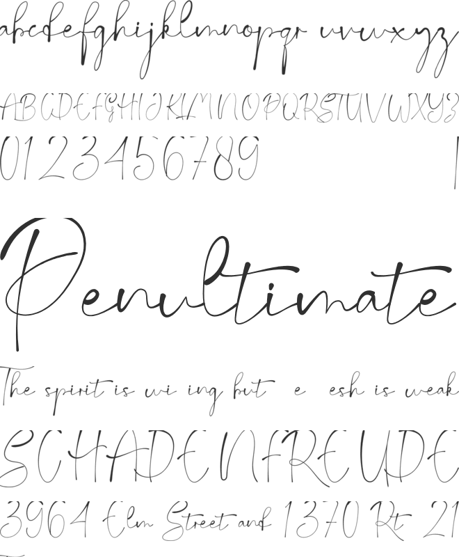 Bevalonia font preview