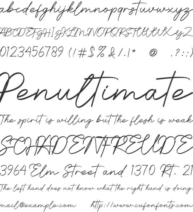 Namina Sucilia font preview