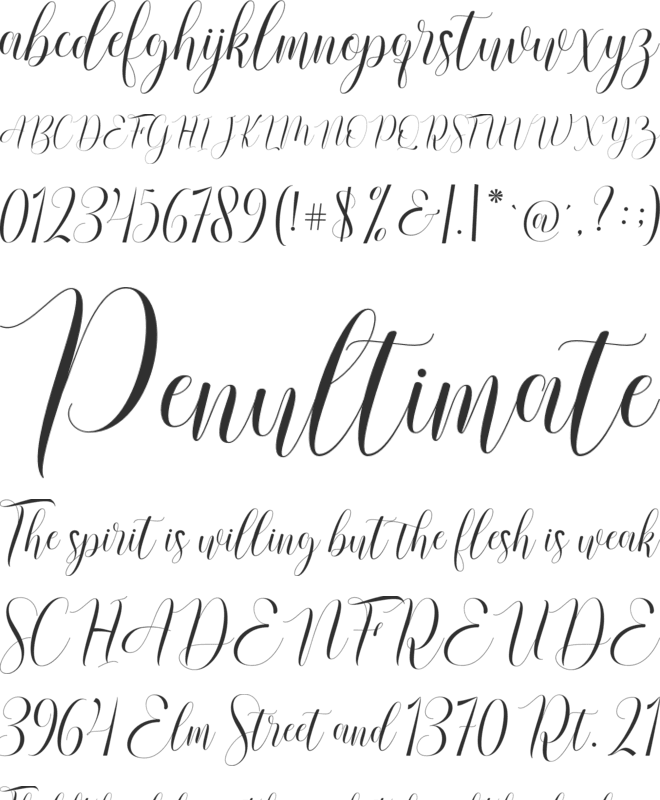Rusthina Script font preview