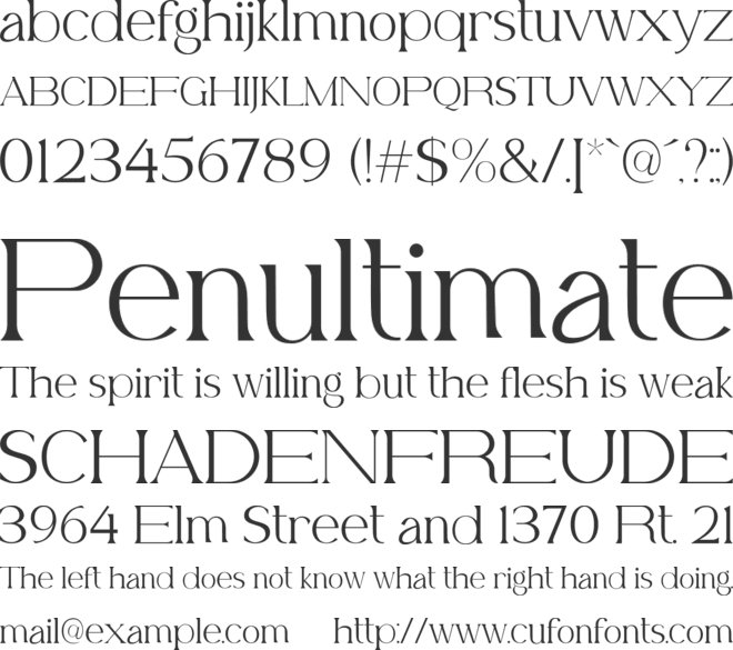 Belfina Husairy font preview