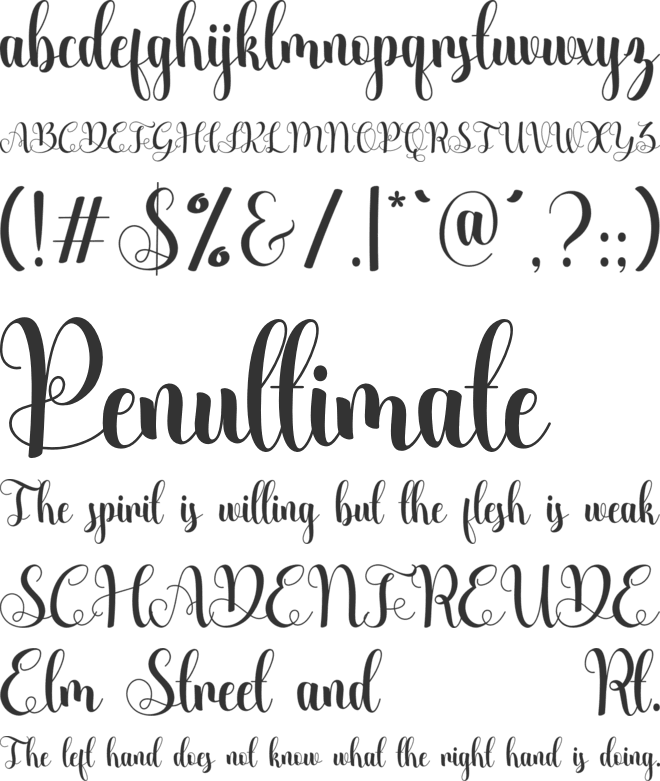 Belyna font preview