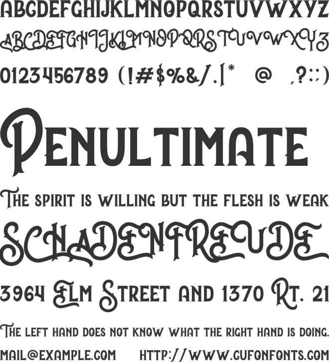 Night Forest font preview