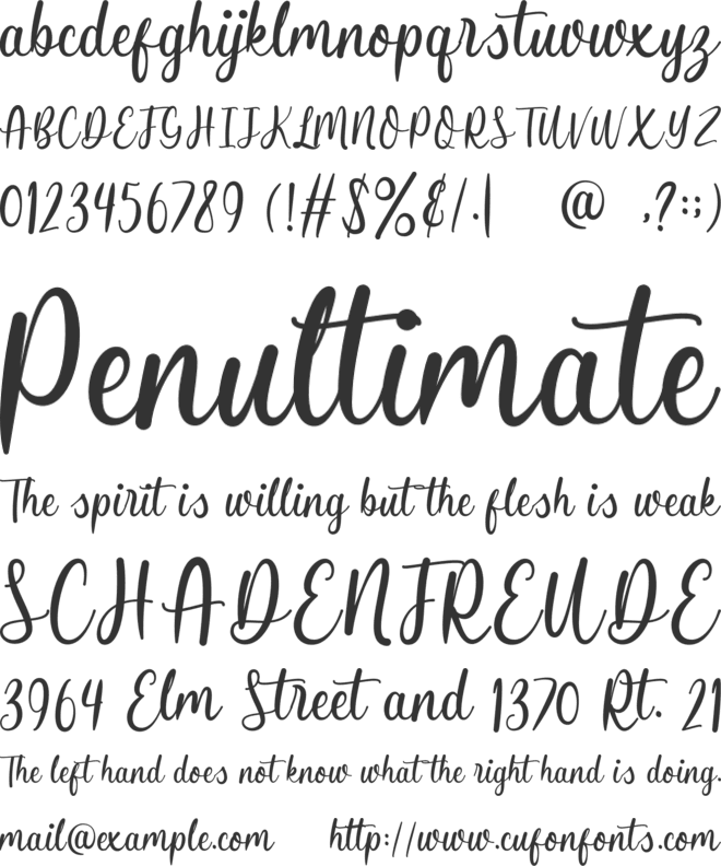 Butterfly Winter font preview