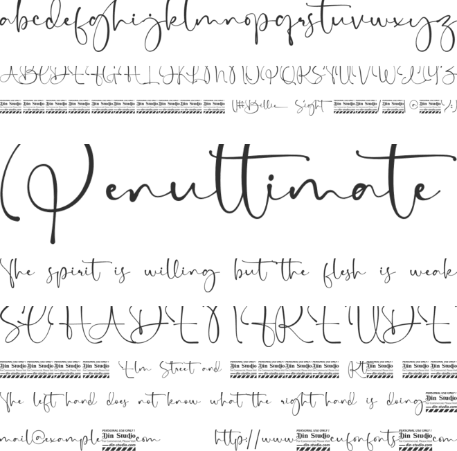 Billie Sight Personal use font preview