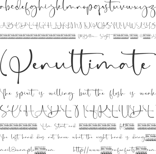 Billie Sight Personal use font preview