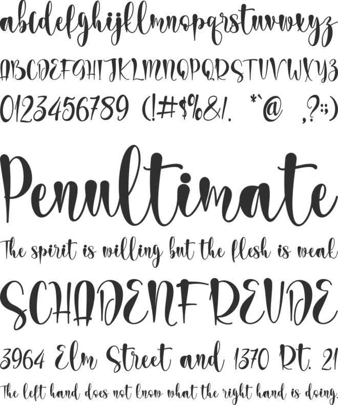 wedding dress - personal use font preview