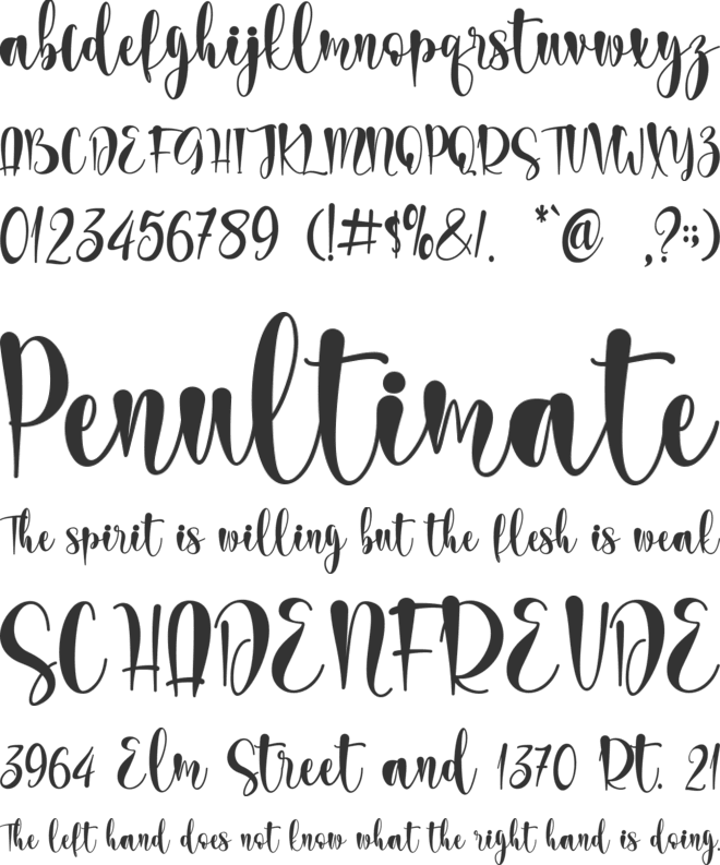wedding dress - personal use font preview
