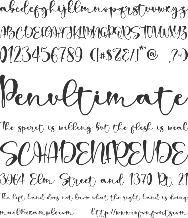 dear darling font preview
