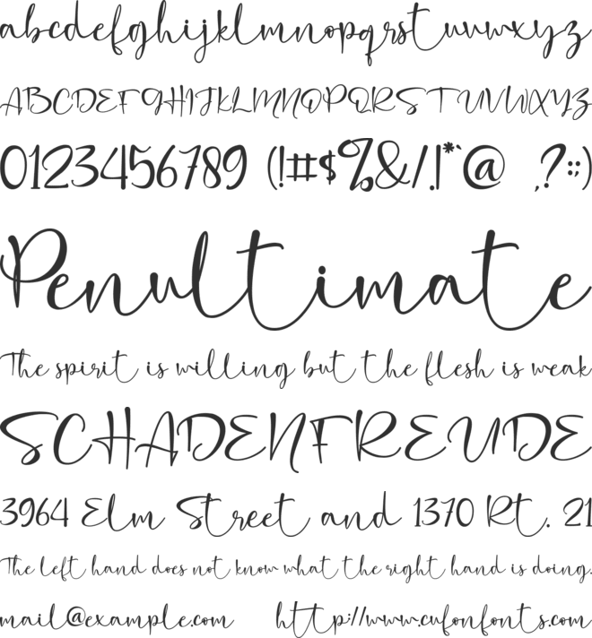 Clarissa - Personal Use font preview