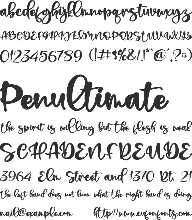 Shepherd - Personal Use font preview