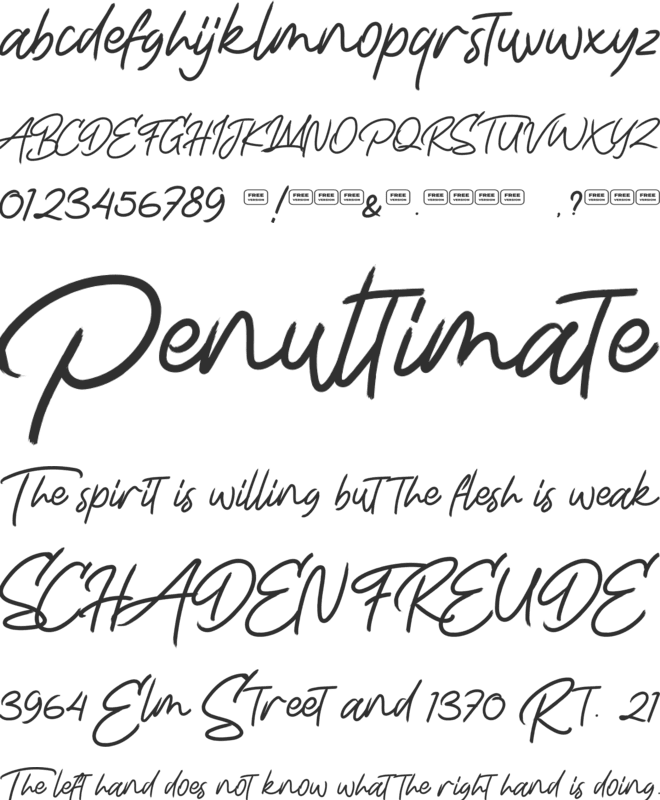 Life Rolling Free Trial font preview