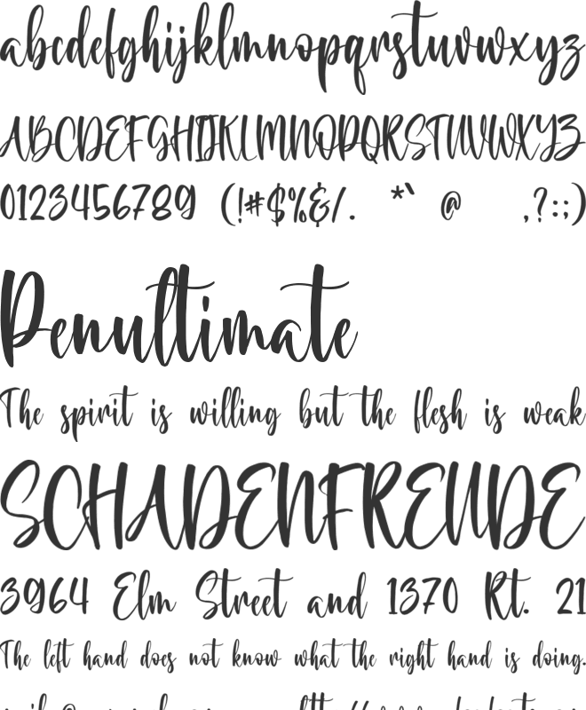 Almeida font preview