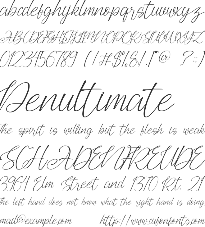 Agus Hasny font preview