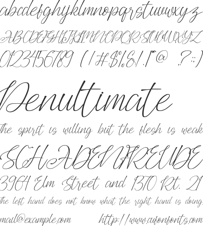 Agus Hasny font preview