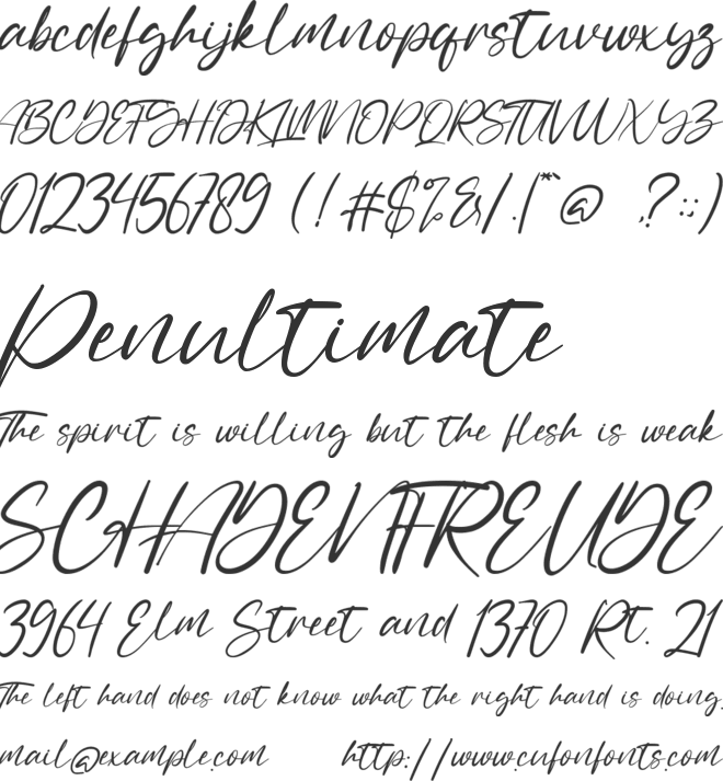 Sally Tazem font preview