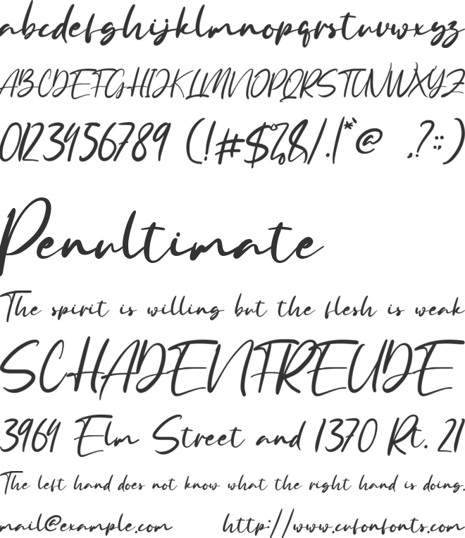 Anyer Beach font preview