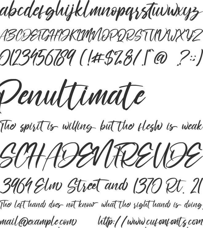 Ronttsein font preview