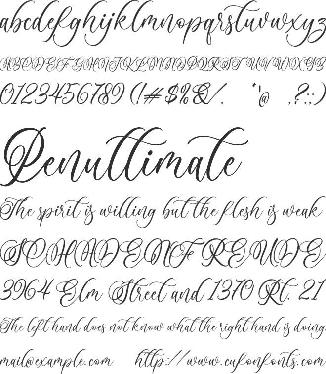 Anelisa font preview