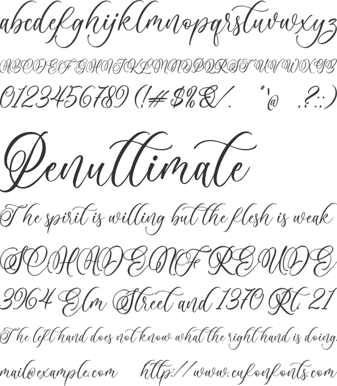 Anelisa font preview