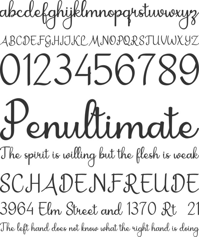 Kayla Katrina font preview