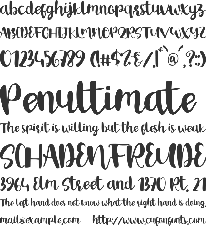 Bird Day font preview