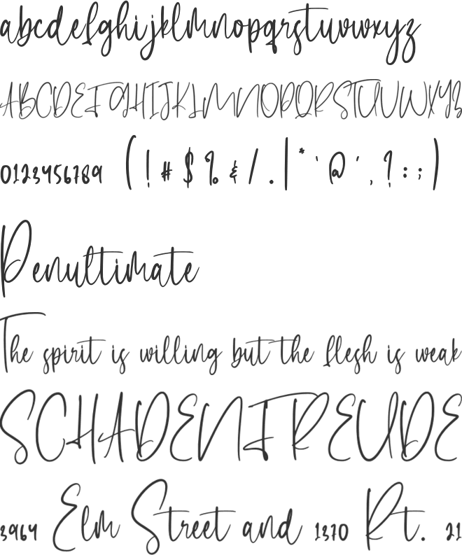 Settary Tenjutsu font preview