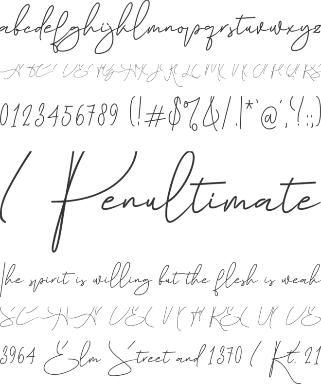 Mowllnew font preview