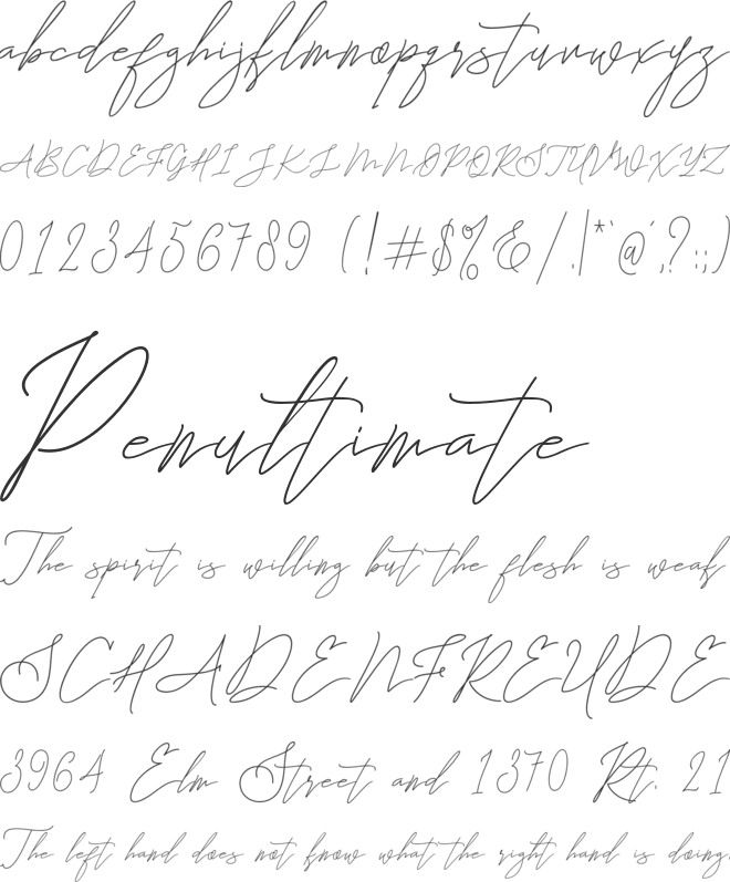 The Attention font preview