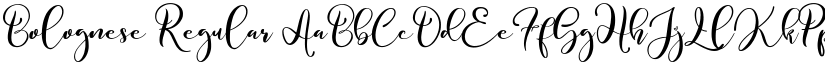 Bolognese Regular font