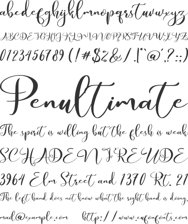 Bellarina font preview