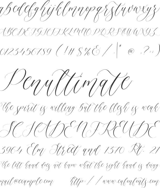 Felmora font preview