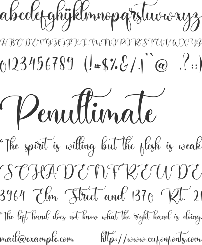 Holiday font preview