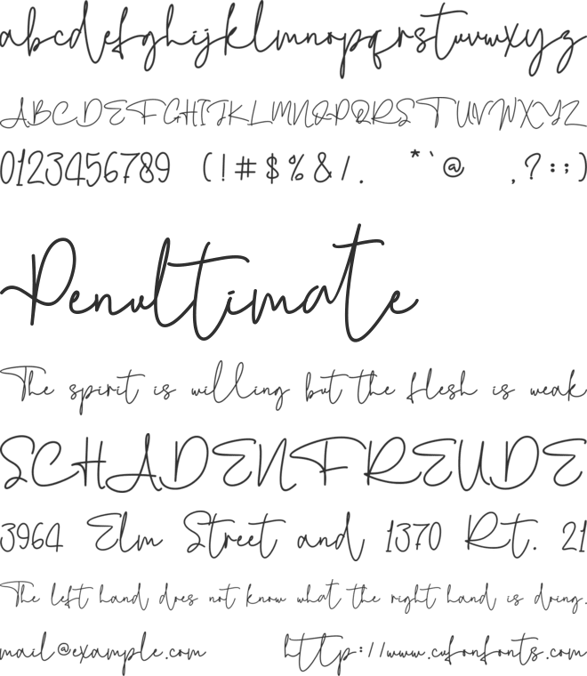Michael Signature -personal use font preview