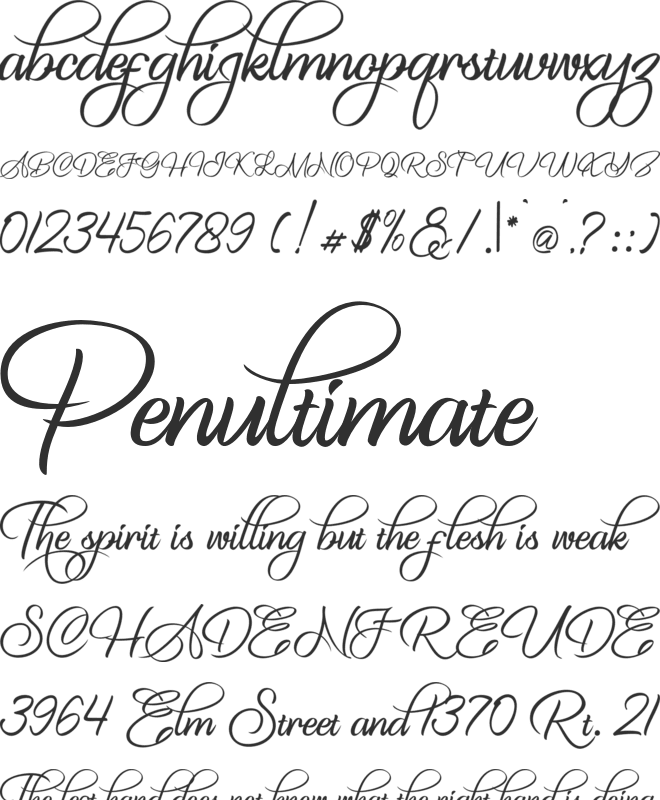 The King Of Romance font preview
