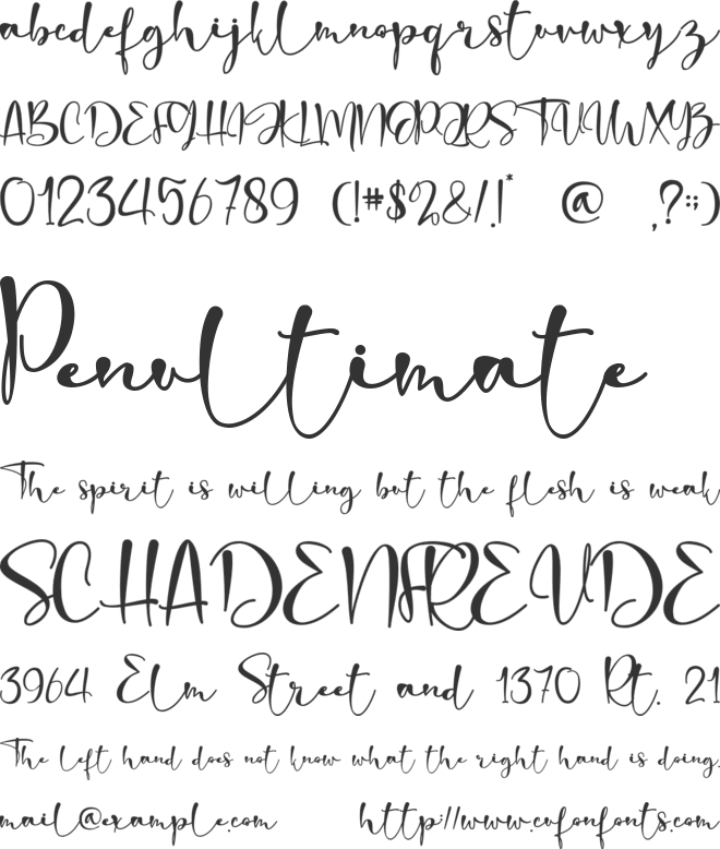 Romantic Blossom - personal use font preview