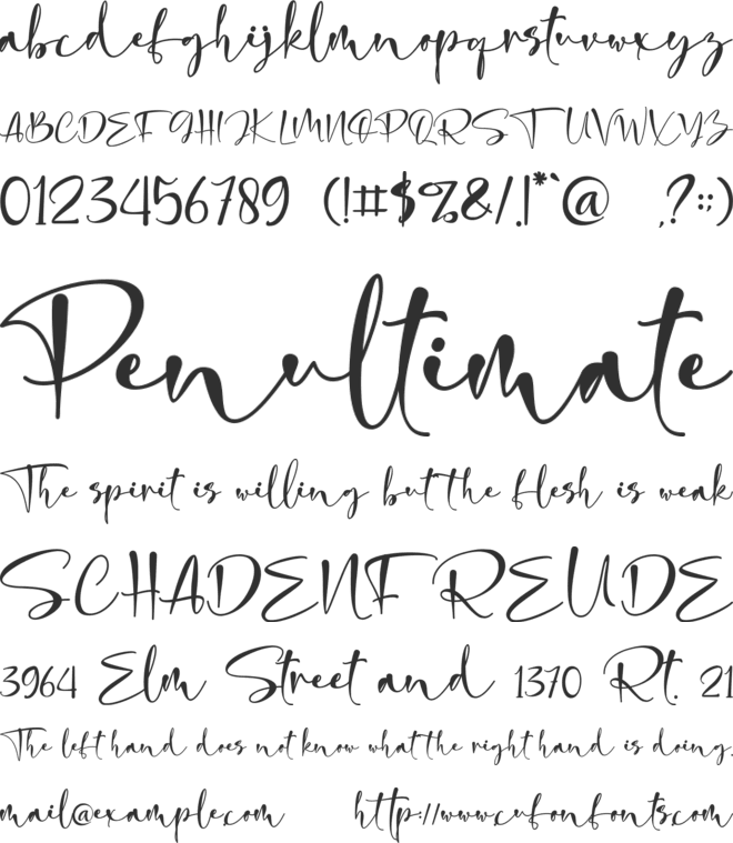 dayana - personal use font preview