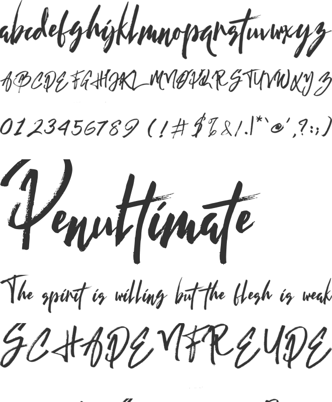 tom brother font preview