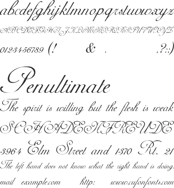 AdineKirnberg-Script font preview